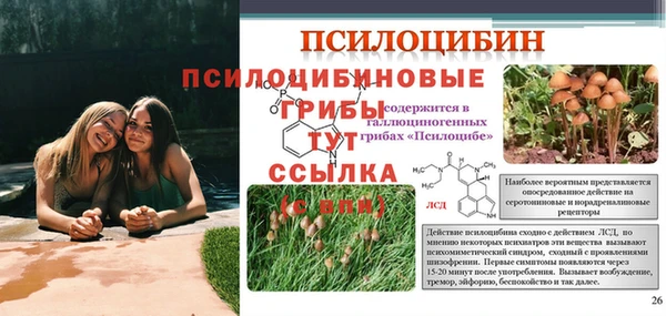 бутират Армянск