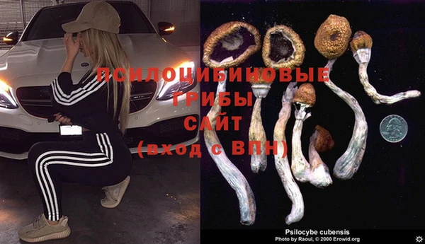 твердый Аркадак